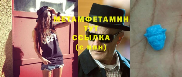 прущие грибы Кодинск