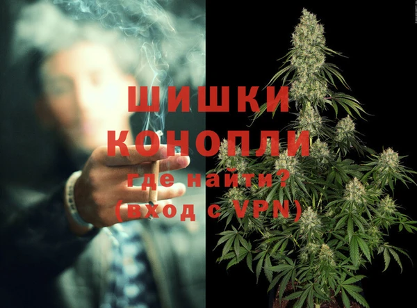 прущие грибы Кодинск
