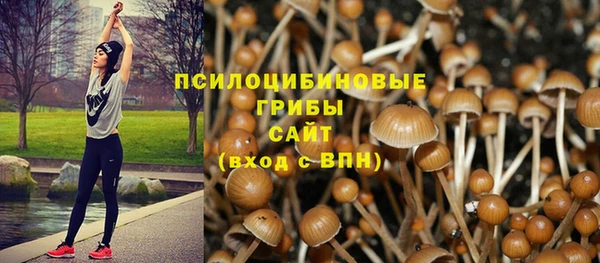 мяу мяу мука Корсаков