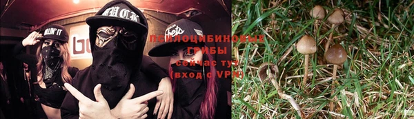 a pvp Козельск