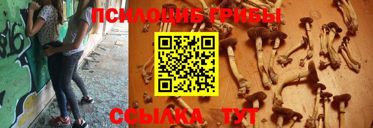 Галлюциногенные грибы ЛСД  Вход с VPN  Вологда  Псилоцибиновые грибы Psilocybine cubensis 
